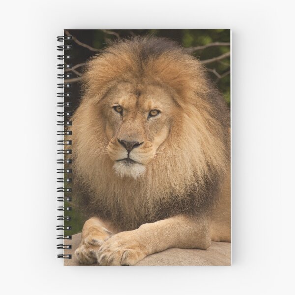 Item preview, King of the Jungle designed and sold by Rick Montgomery.