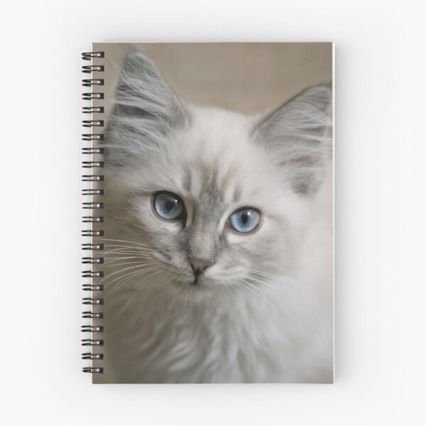 Item preview, Old Blue Eyes... designed and sold by Karen  Helgesen.