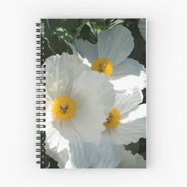Item preview, White flowers designed and sold by Harv Churchill.