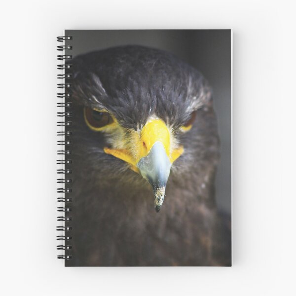 Item preview, Harris Hawk designed and sold by Alyce Taylor.