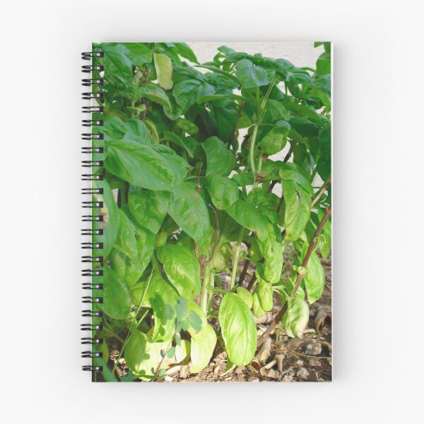 Item preview, Basil designed and sold by Leyla Hur.
