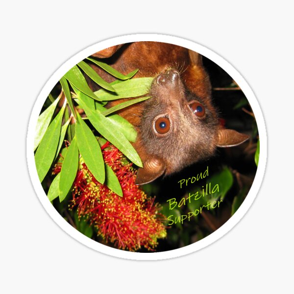 Batzilla - Proud Supporter, flying fox with flower Sticker