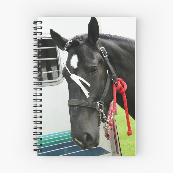 Item preview, Adorned Percheron Mare designed and sold by ALBzArt.