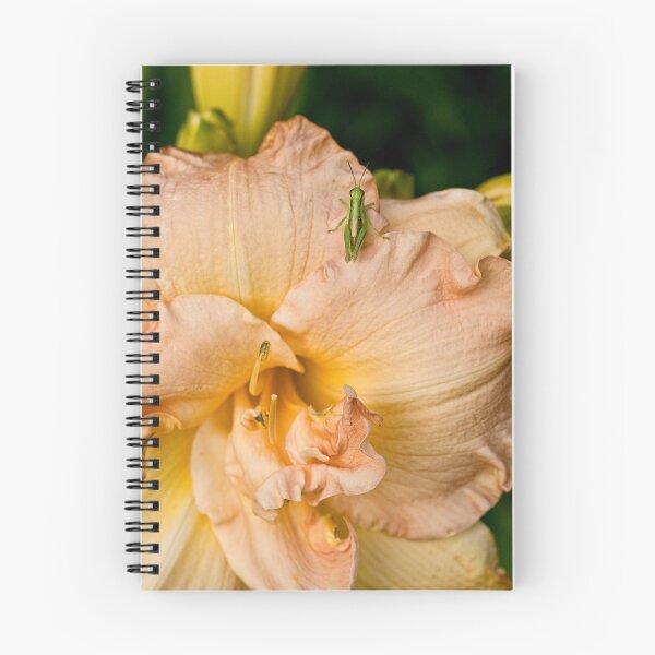 Item preview, Angelic Grin - our garden, Ottawa, ON designed and sold by Tracey  Dryka.