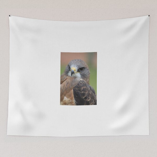 Item preview, Swainson's Hawk  designed and sold by Alyce Taylor.