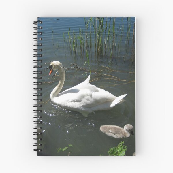 Item preview, Mother Swan and Child designed and sold by StitchingDreams.