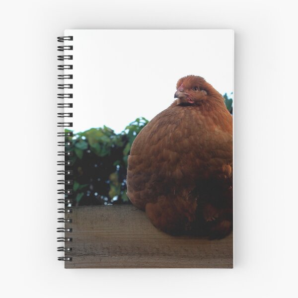 Item preview, Vauxhall City Farm - Chicken (Amber) designed and sold by VauxhallFarm.