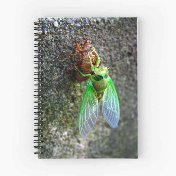 Item preview, New Locust designed and sold by Brent McMurry.
