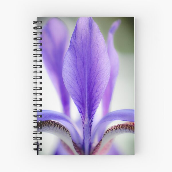 Item preview, Purple standards flying! designed and sold by helmetheads.