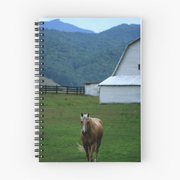 Item preview, Valle Crucis Countryside designed and sold by jstoeber.