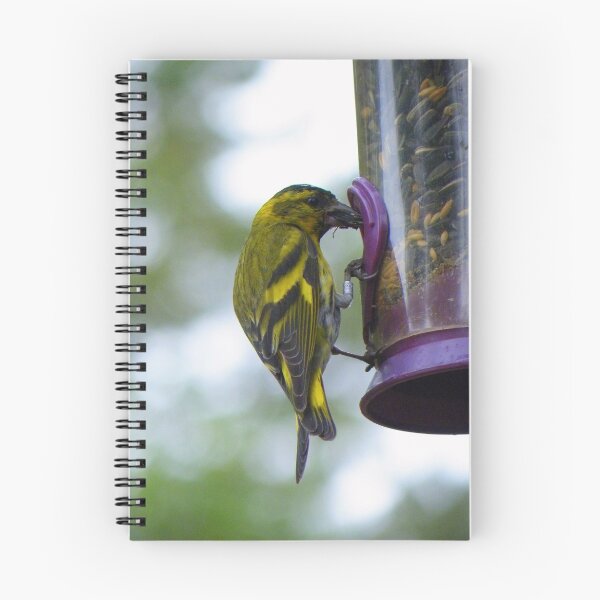 Item preview, The Cairngorms: Siskin designed and sold by Rob Parsons (Just a Walker with a Camera).