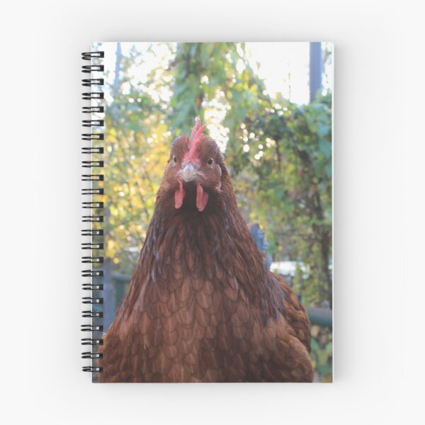 Item preview, Vauxhall City Farm - Chicken designed and sold by VauxhallFarm.
