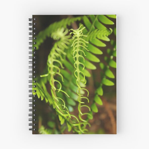 Item preview, Fern and fancy free designed and sold by Debbie Roelle.