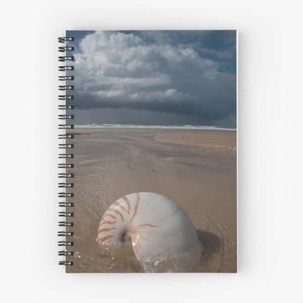 Item preview, Shellscape designed and sold by JSumpton.