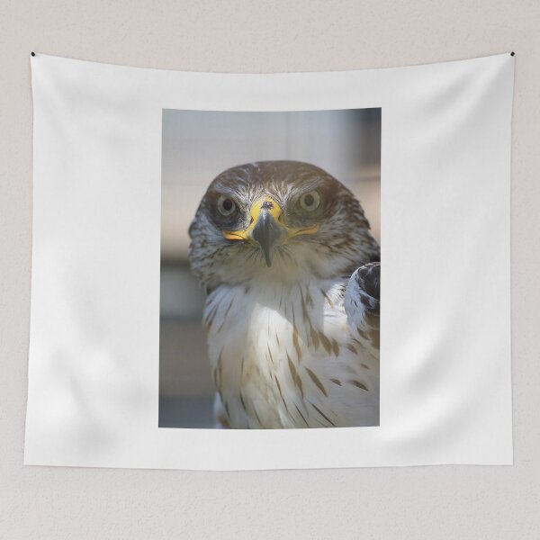 Item preview, Ferruginous Hawk designed and sold by Alyce Taylor.