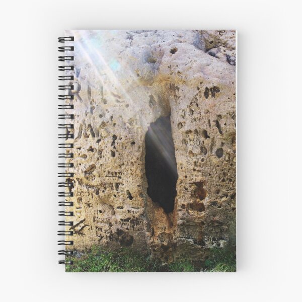 Item preview, Prison Tree, Derby, Western Australia designed and sold by JuliaKHarwood.