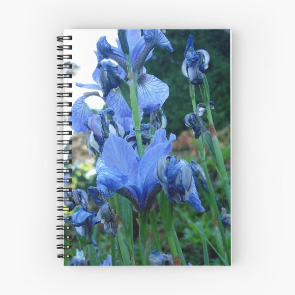 Artikelvorschau, Blue Iris entworfen und verkauft von Colorart.