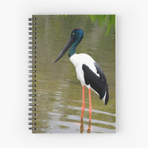 Item preview, Jabiru - black necked stork designed and sold by Jenny Dean.