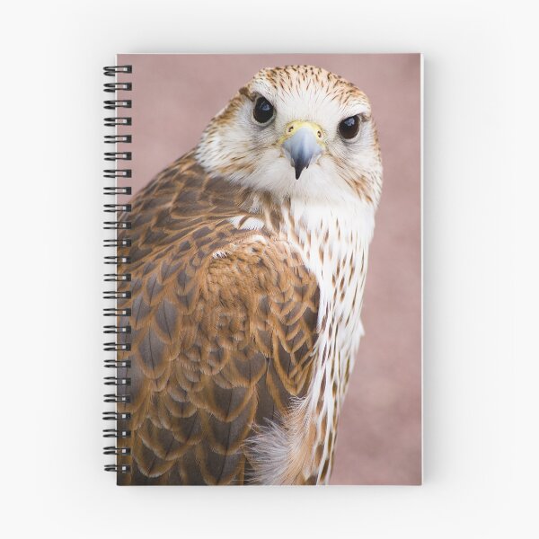 Item preview, Bird of Prey designed and sold by Claire Tennant.