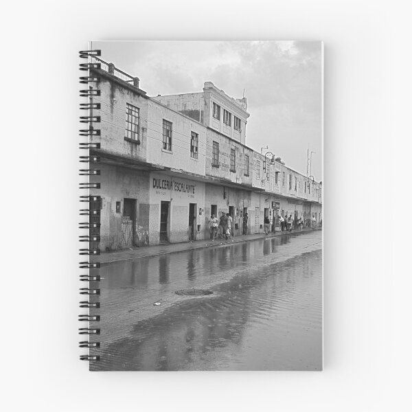 Item preview, Mucha Lluvia en Mérida designed and sold by Valerie Rosen Photography.