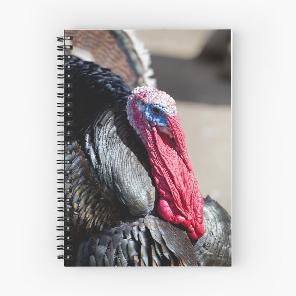 Item preview, Vauxhall City Farm - Turkey, Full (Trevor) designed and sold by VauxhallFarm.
