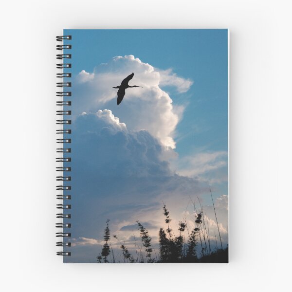 Item preview, Ibis in flight designed and sold by Bonnie T.  Barry.