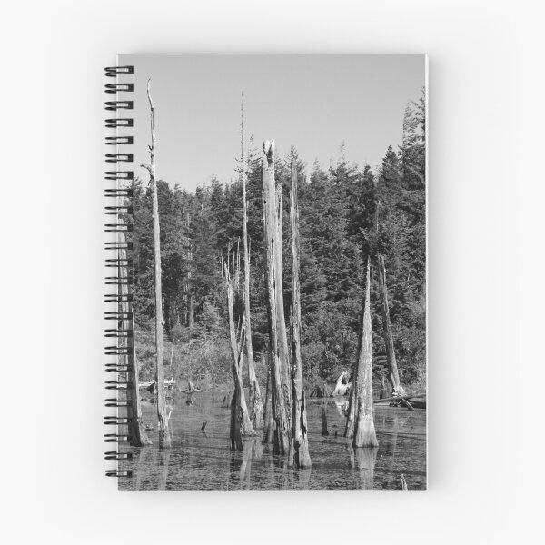 Item preview, Empire Lakes - Coos Bay, Oregon designed and sold by CatrinaM.