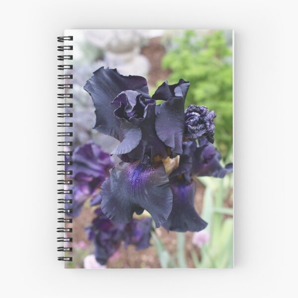 Item preview, black iris designed and sold by BronReid.