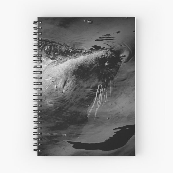 Item preview, THE LIFE AQUATIC designed and sold by NICK COBURN PHILLIPS.