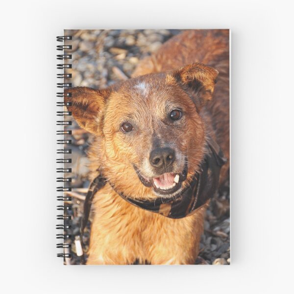 Item preview, A Lake makes him Smile designed and sold by SamTheCowdog.