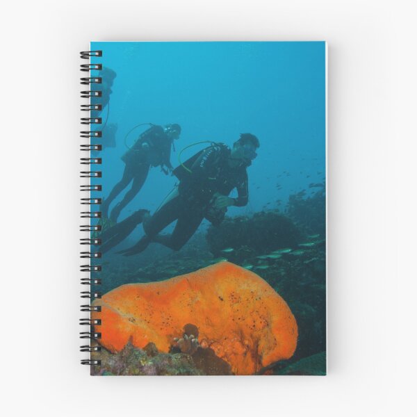 Item preview, Weightless designed and sold by Paul Lenharr II.