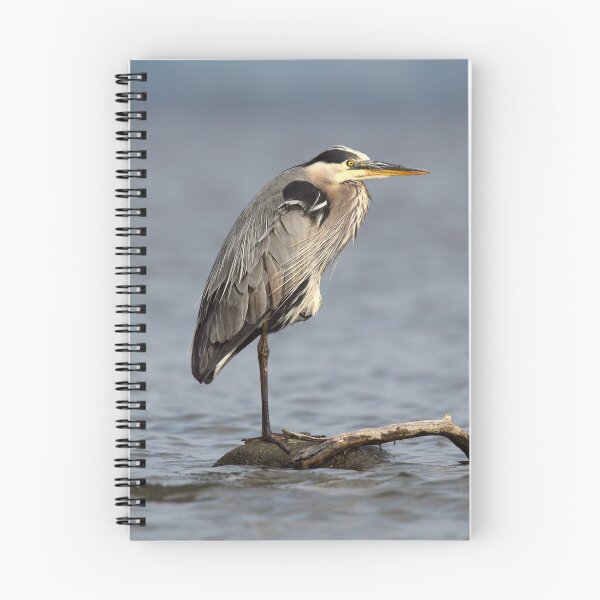 Item preview, Full Frame / Great Blue Heron designed and sold by Gary Fairhead.