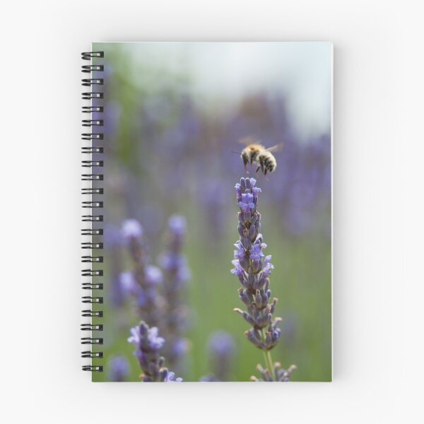Item preview, 375x360 designed and sold by Laurent Aphecetche.