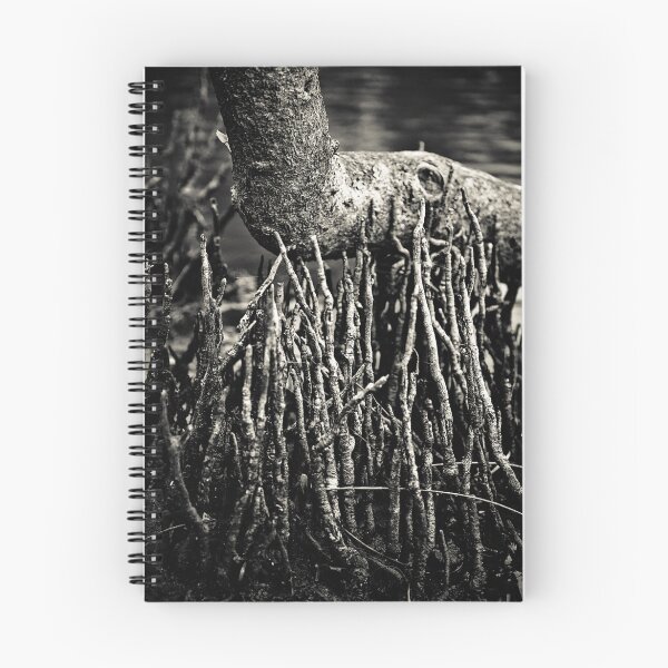 Artikelvorschau, Mangrove No16 entworfen und verkauft von Tim Boehm.