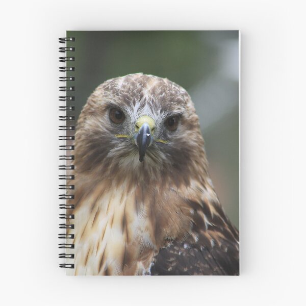 Item preview, Red-Tailed Hawk designed and sold by Alyce Taylor.