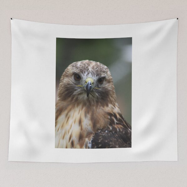 Item preview, Red-Tailed Hawk designed and sold by Alyce Taylor.