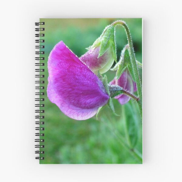 Item preview, Oh, Sweetpea! designed and sold by Antionette.