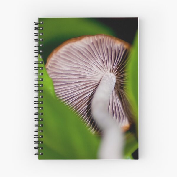 Item preview, Framed Fungi designed and sold by Marcus Buckley.