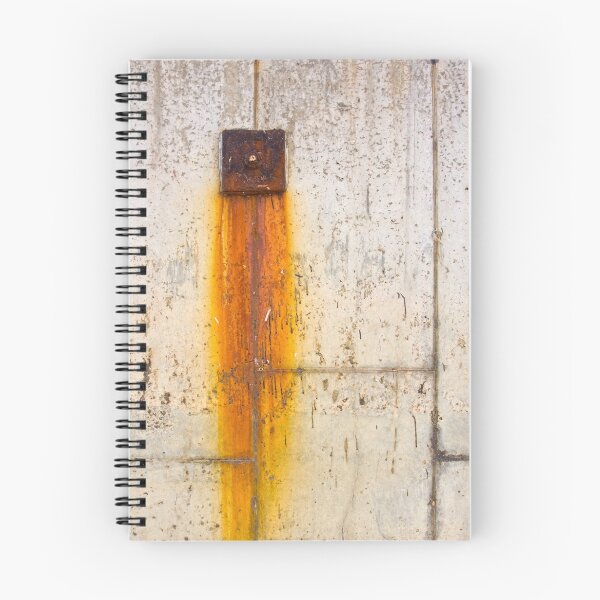 Aperçu de l'œuvre Rust créée et vendue par Robert Sturman.