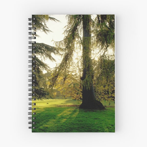 Item preview, EATON PARK, NORWICH, NORFOLK designed and sold by ANNETTE HAGGER.