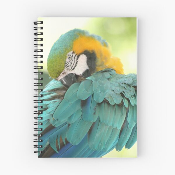 Item preview, Shyness designed and sold by Dana Yoachum.