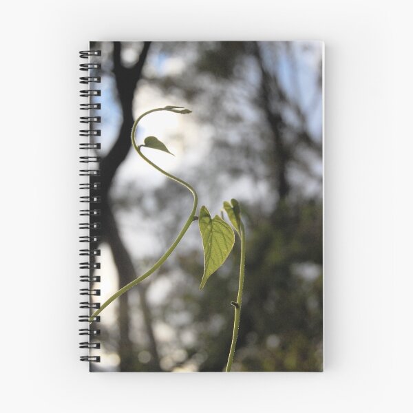 Item preview, entwined designed and sold by Naia.