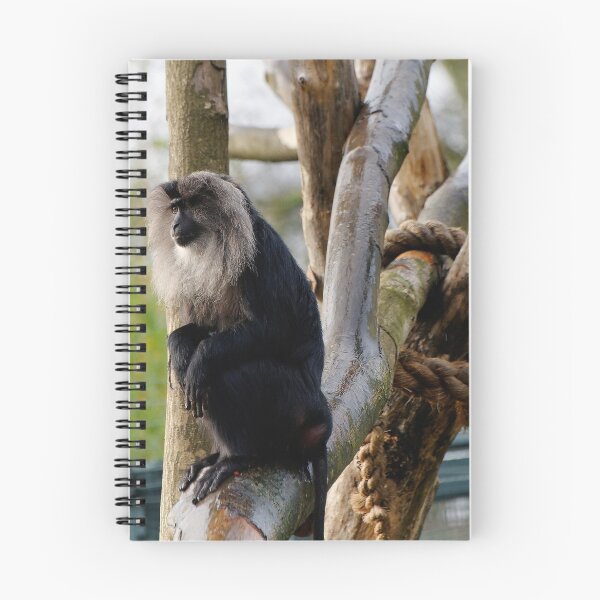 Item preview, Lion tailed Macaque (Macaca silenus) designed and sold by buttonpresser.