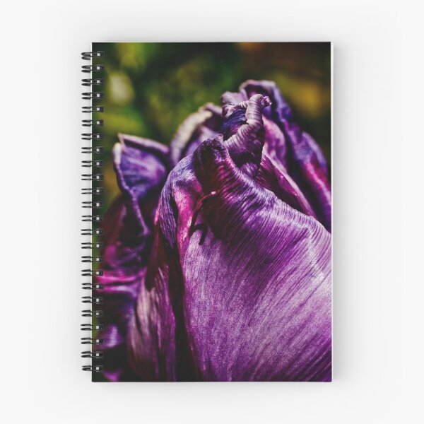 Item preview, Purple Tulip designed and sold by Marcus Buckley.