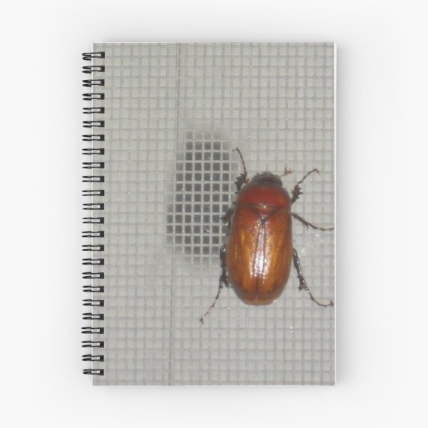 Item preview, June Bug designed and sold by Navigator.