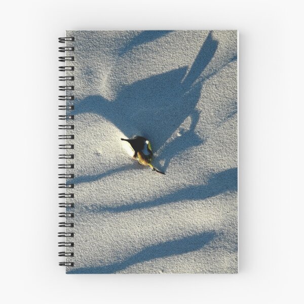 Item preview, Bird in the sand designed and sold by ChristinaR.