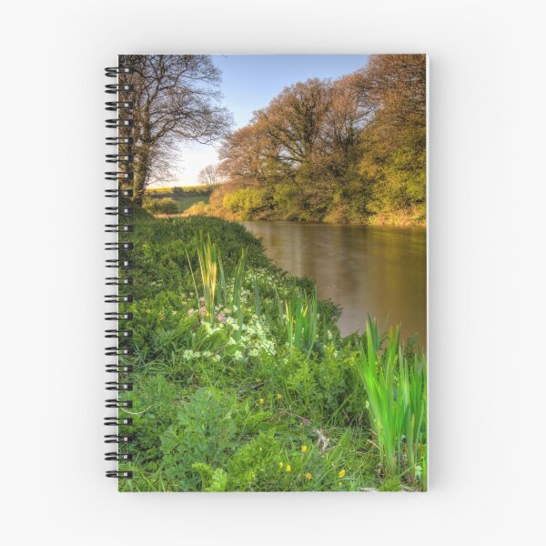 Item preview, Grand Western Canal-Primroses-UK designed and sold by David  Rowlatt.
