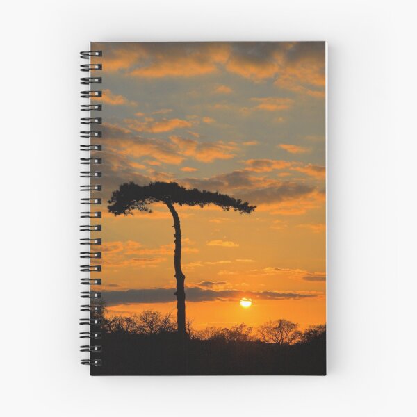 Aperçu de l'œuvre Sunset Tree créée et vendue par John Murray.