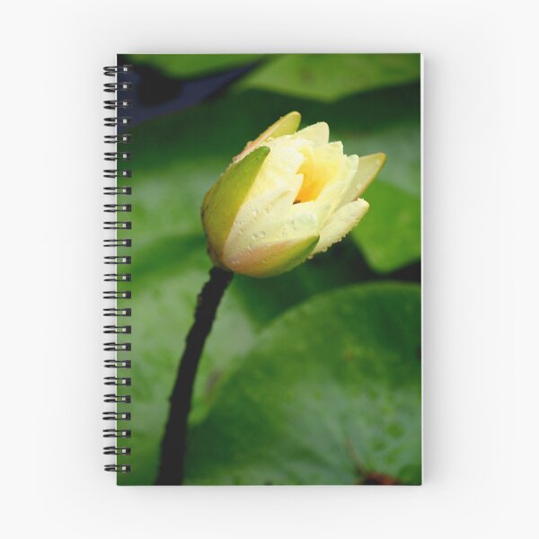 Item preview, Waterlily with raindrops designed and sold by Brent McMurry.
