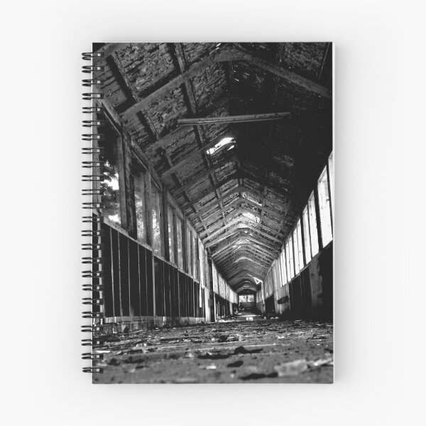 Aperçu de l'œuvre Where You Lead, I Will Follow ~ West Park Asylum créée et vendue par Josephine Pugh.